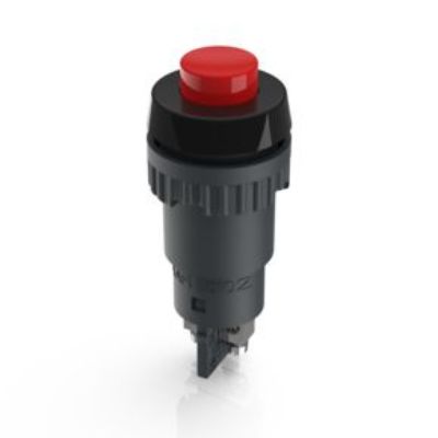 RAFI 1.1 Series Push Button, Momentary, Panel Mount, 20mm Cutout, SPST, 250V, IP40, IP65