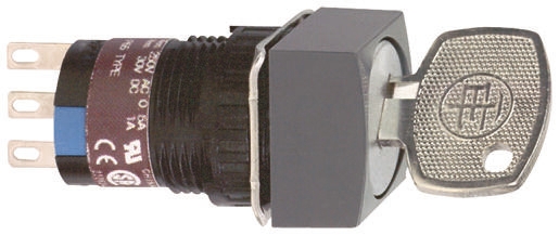 Schneider Electric Selector Switch - 2 Positions