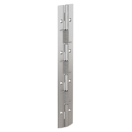 Pinet Stainless Steel Spring Hinge, 240mm x 40mm x 1.5mm