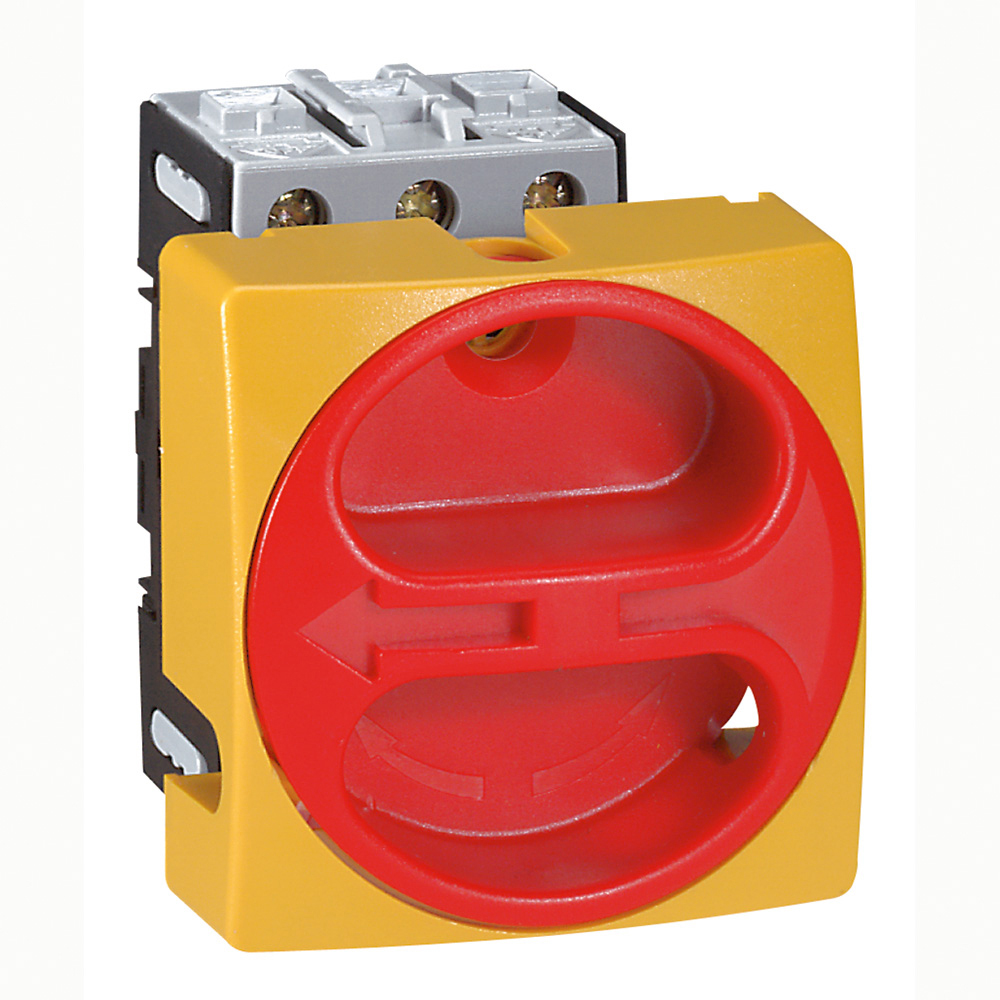 Legrand 3 Pole Panel Mount, Screw Mount Switch Disconnector - 20A Maximum Current, 8kW Power Rating, IP65