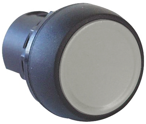 Allen Bradley 800F Series White Momentary Push Button Head, 22mm Cutout, IP65