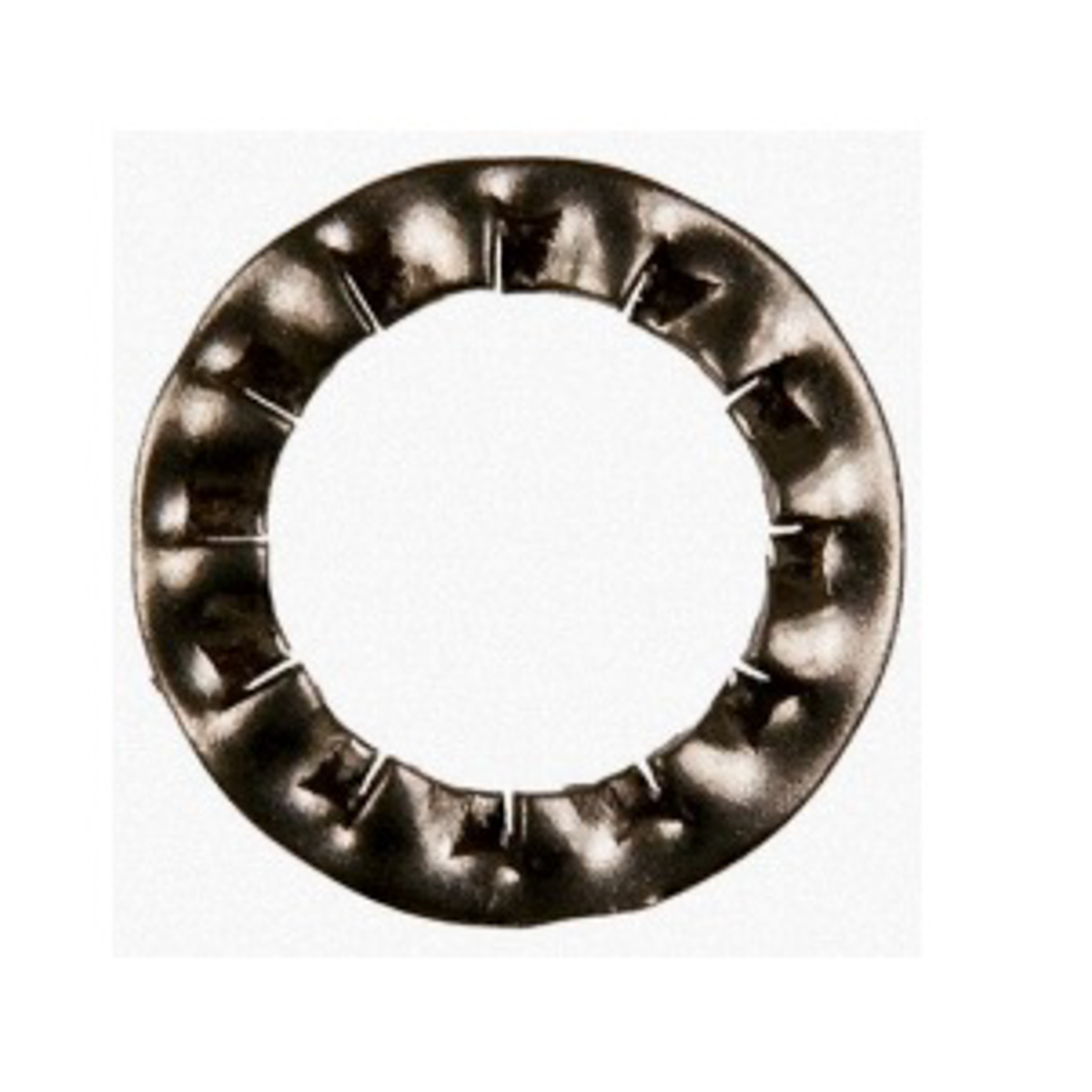 RS PRO A4 316 Stainless Steel Internal Tooth Shakeproof Washer, M5, DIN 6798J