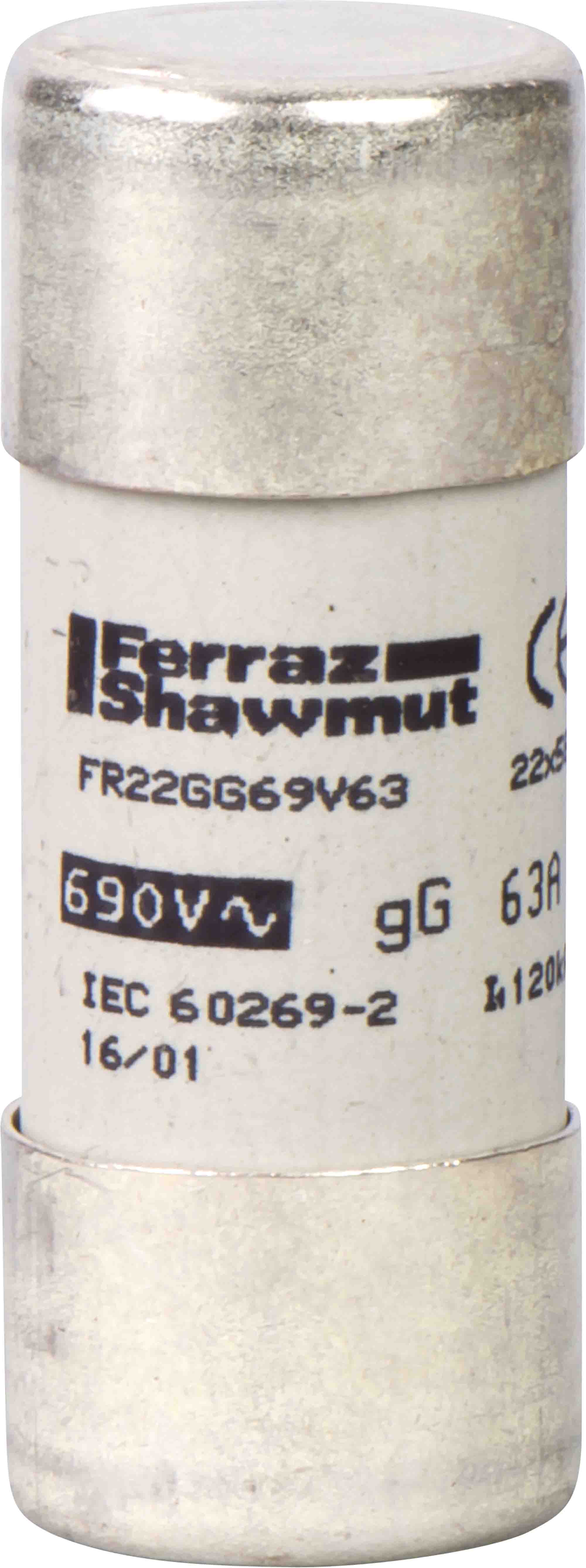 Schneider Electric 100A F Ceramic Cartridge Fuse, 22 x 58mm