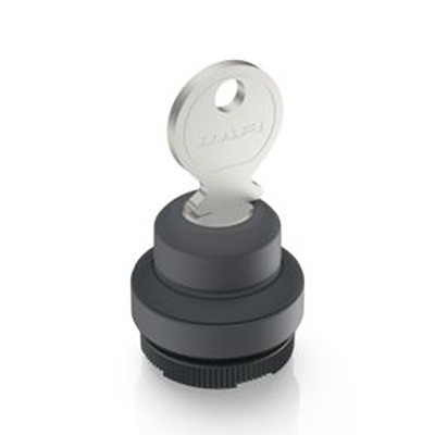 RAFI IP65 Key Switch 19-Way Tubular-Key