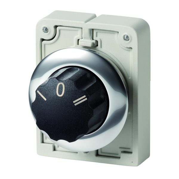 Eaton 3 Position 40° Changeover Cam Switch, Button Actuator
