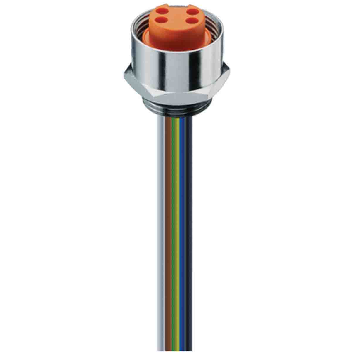Lumberg Automation Female 4 way Receptacle to Circular Connector, 1.7 m
