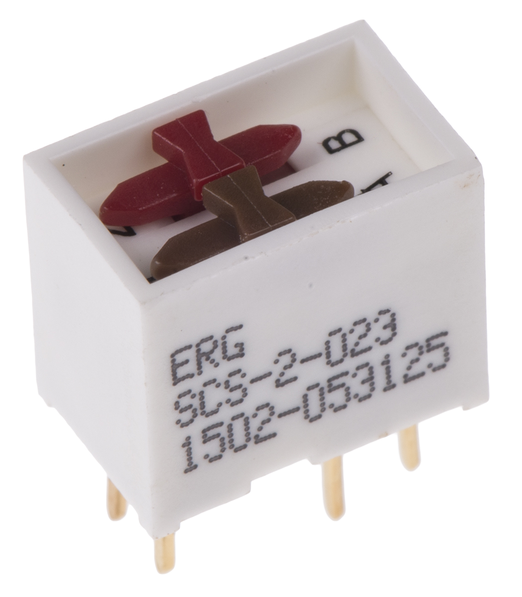 ERG 2 Way Through Hole DIP Switch DPDT