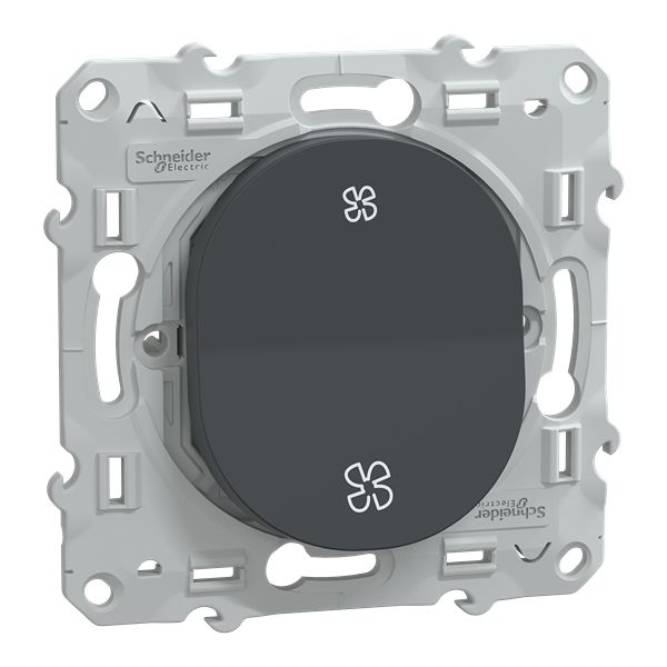 Schneider Electric Anthracite Rocker Switch Grid Module 10A, Ovalis Series