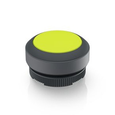RAFI Push Button Bezel for Use with Illuminated Pushbutton