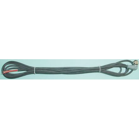 Reckmann M12 PT100 Connection Cable for Use with PT100 Sensor