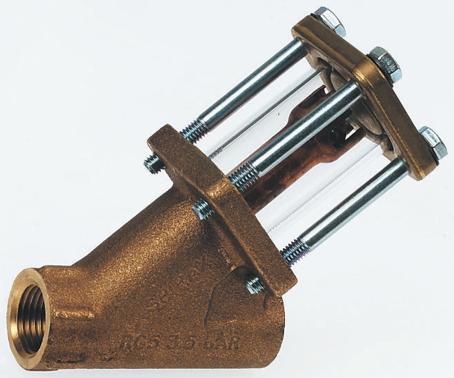 Spirax Sarco Bronze Sight Glass Check Valve, BSPP 3/4in, 3.6 bar