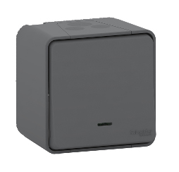 Schneider Electric Light Switch Surface Mount