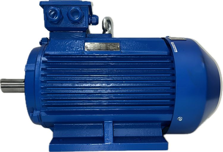 TECO Westinghouse AEEVYY Squirrel Cage Motor AC Motor, 55 kW, IE3, 1 Phase, 4 Pole, 400 V, B3 Foot Mounted Mounting