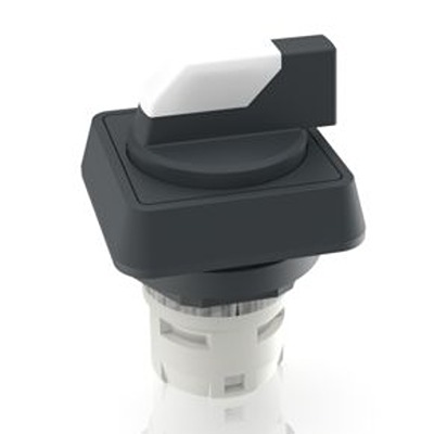 RAFI Selector Switch - 22.3mm Cutout Diameter, Illuminated 1 Positions