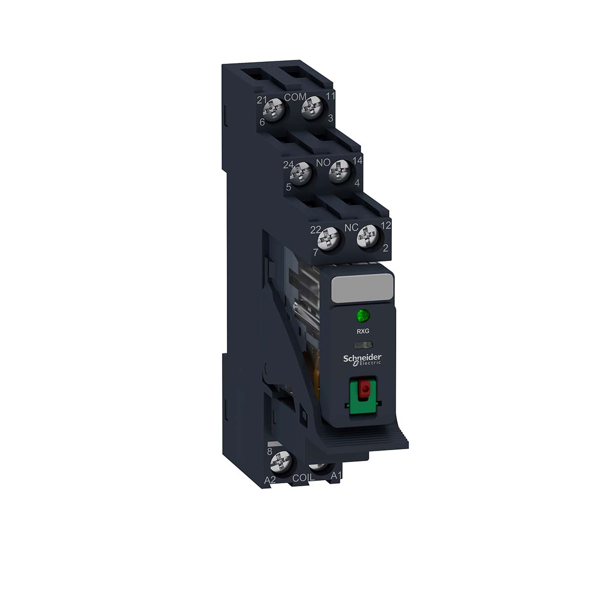 Schneider Electric Harmony Relay RXG Series Interface Relay, DIN Rail Mount, 24V ac Coil, DPDT, 5A Load