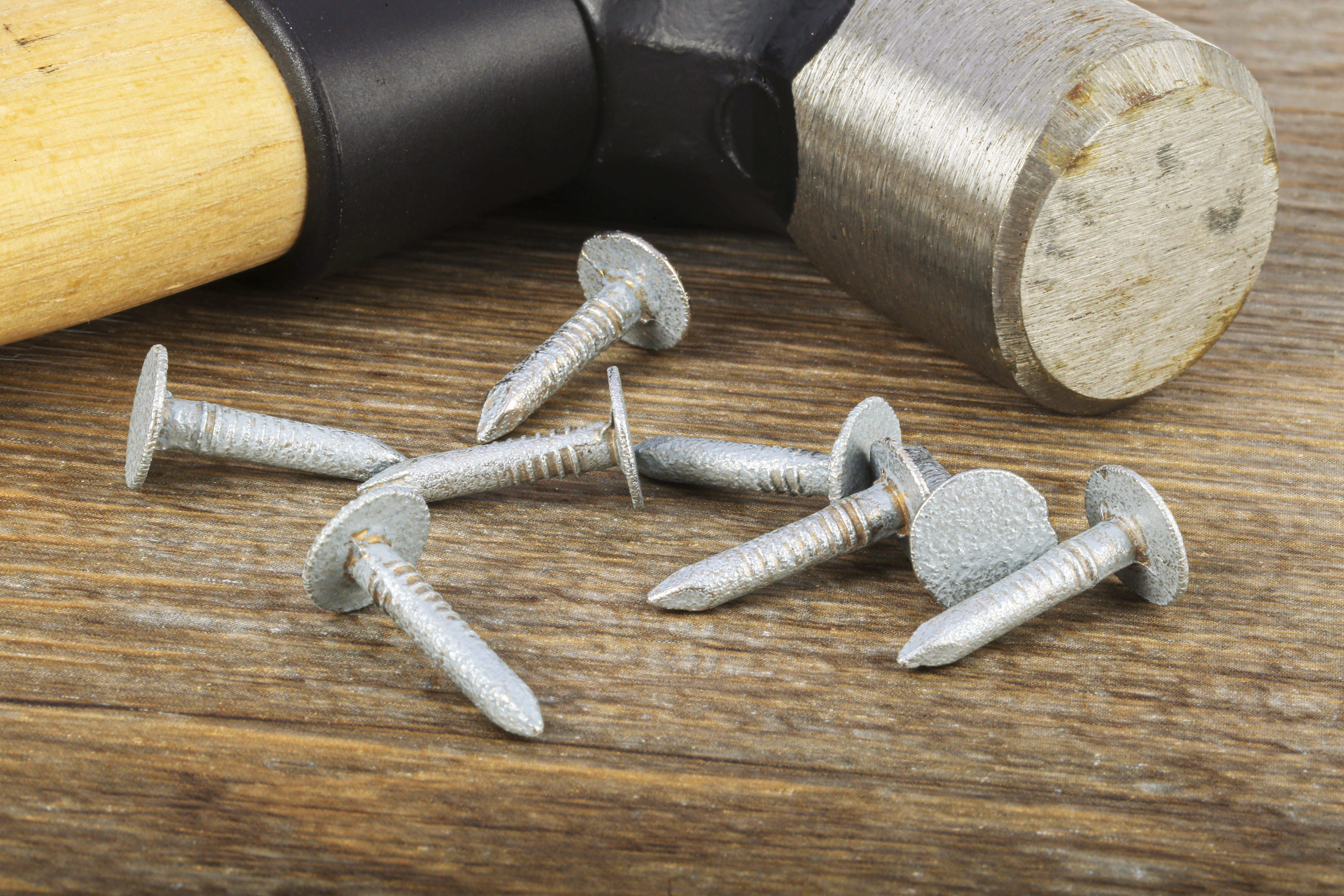 RS PRO Galvanised Nails; 20mm x 3mm; 500g Bag