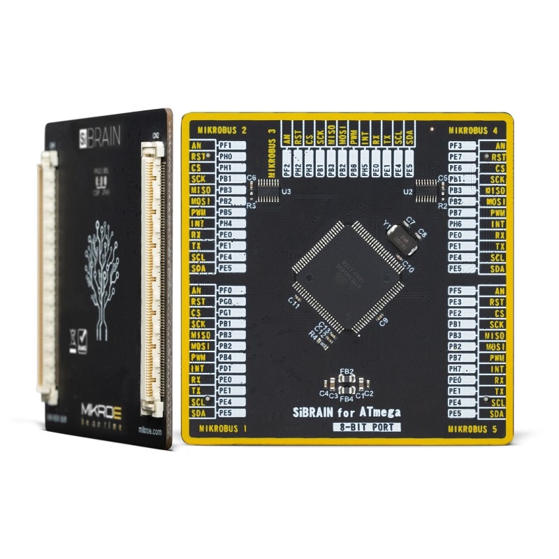 Brand-Rex SiBRAIN For ATmega6450 Microcontroller Development Board