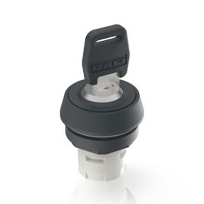 RAFI IP65 Key Switch 2-Way Flat-Key