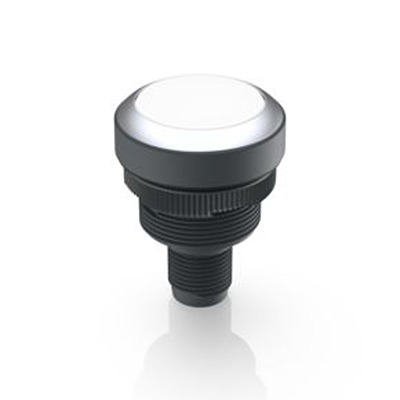 RAFI RAMO 22 T Series Illuminated Illuminated Push Button Switch, Momentary, Through Hole, 22.3mm Cutout, 1 NO, White